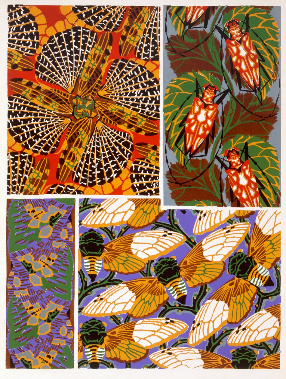 Design com motivo de insetos de Émile Allain Séguy