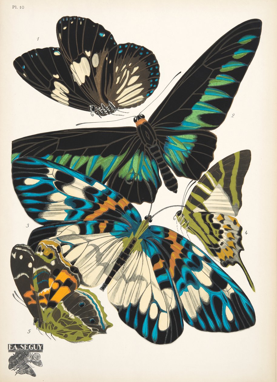 Prato 10, do Butterflies, pub. 1925 (impressão em estêncil) de Émile Allain Séguy