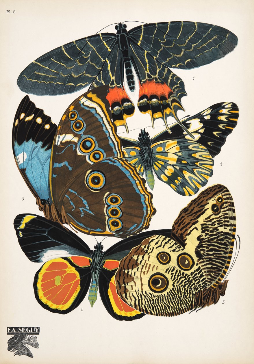 Placa 2, de Butterflies, pub. 1925 (impressão em estêncil) de Émile Allain Séguy