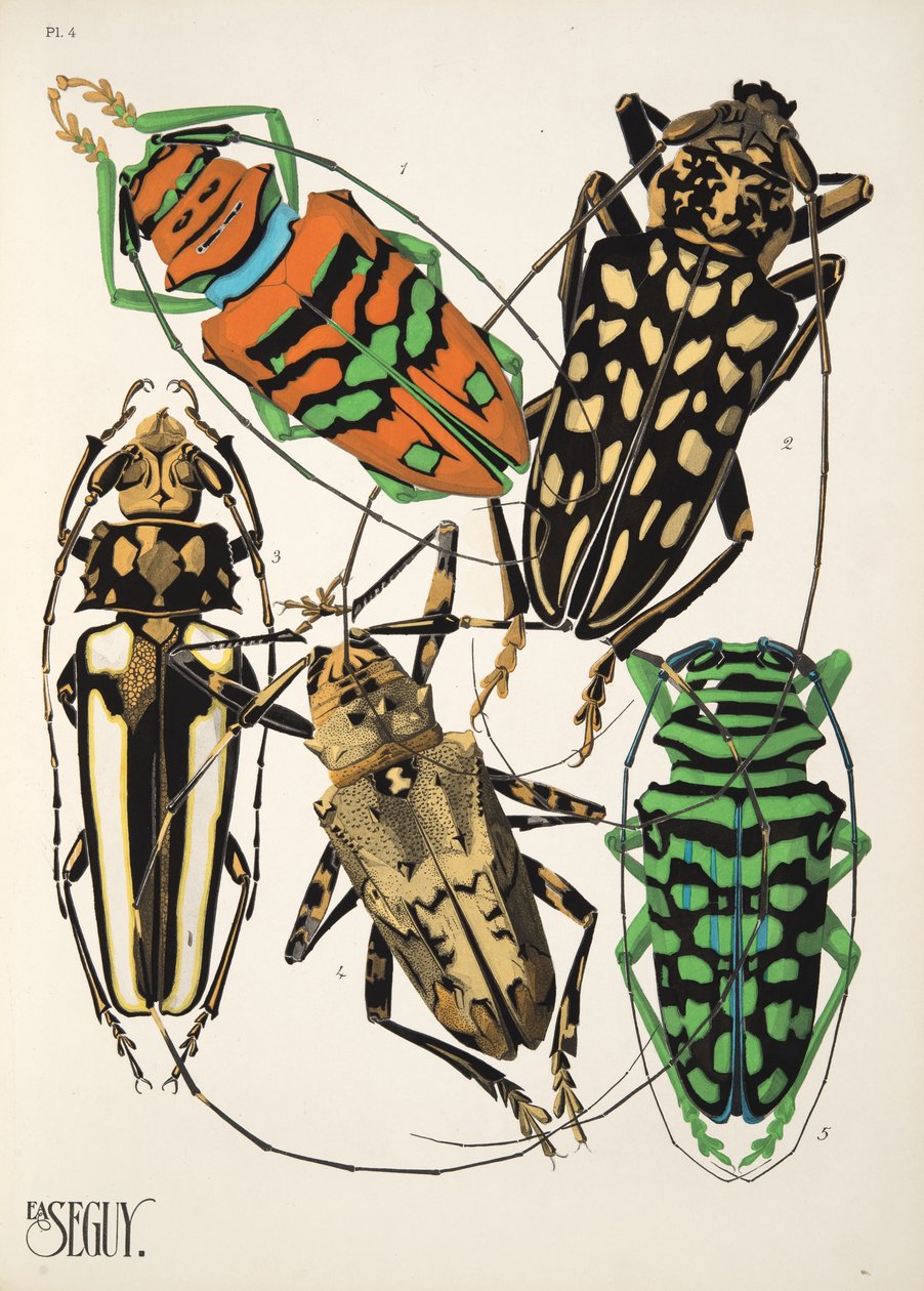 Placa 4 de Insectes, pub. 1930 (impressão pochoir) de Émile Allain Séguy