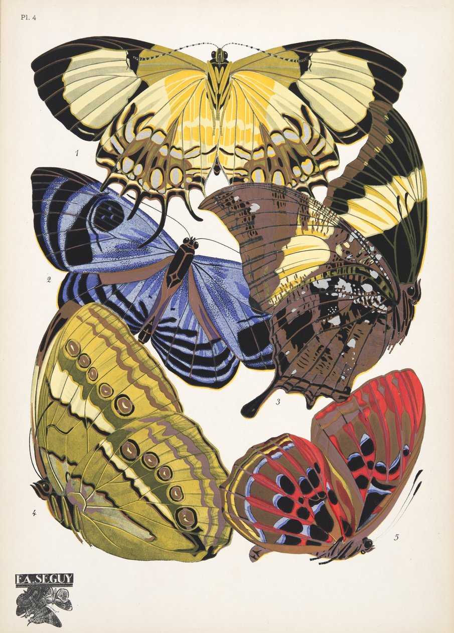 Placa 4, de Butterflies, pub. 1925 (impressão em estêncil) de Émile Allain Séguy