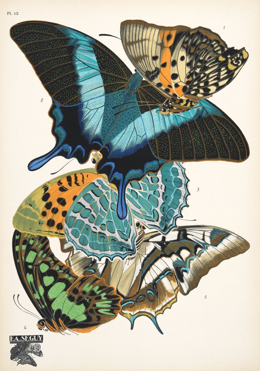 Placa 13, de Papillons, pub. 1925 (pochoir print) de Émile Allain Séguy