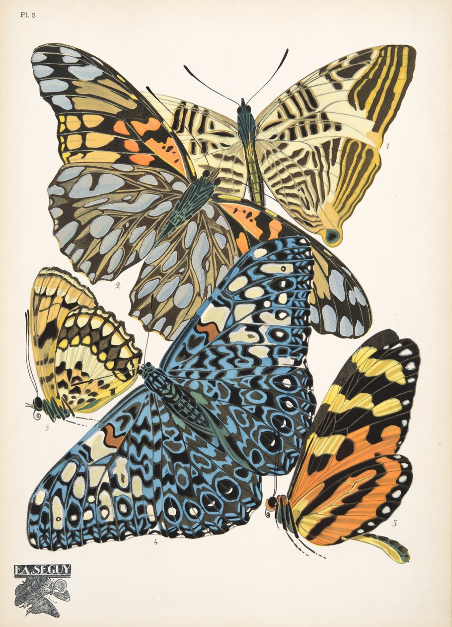 Placa 3, de Butterflies, pub. 1925 (impressão em estêncil) de Émile Allain Séguy