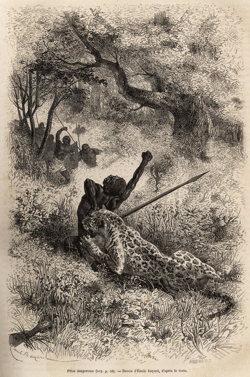 Um leopardo salta sobre um homem e morde-o cruelmente nas suas costas, nas proximidades de Bambare (Congo), gravando depois de um desenho de Emile Bayard, ilustrando o último diário de David Livingstone (1813-1873), em 1866-1873, publicado em "Le tour du m de Emile Antoine Bayard
