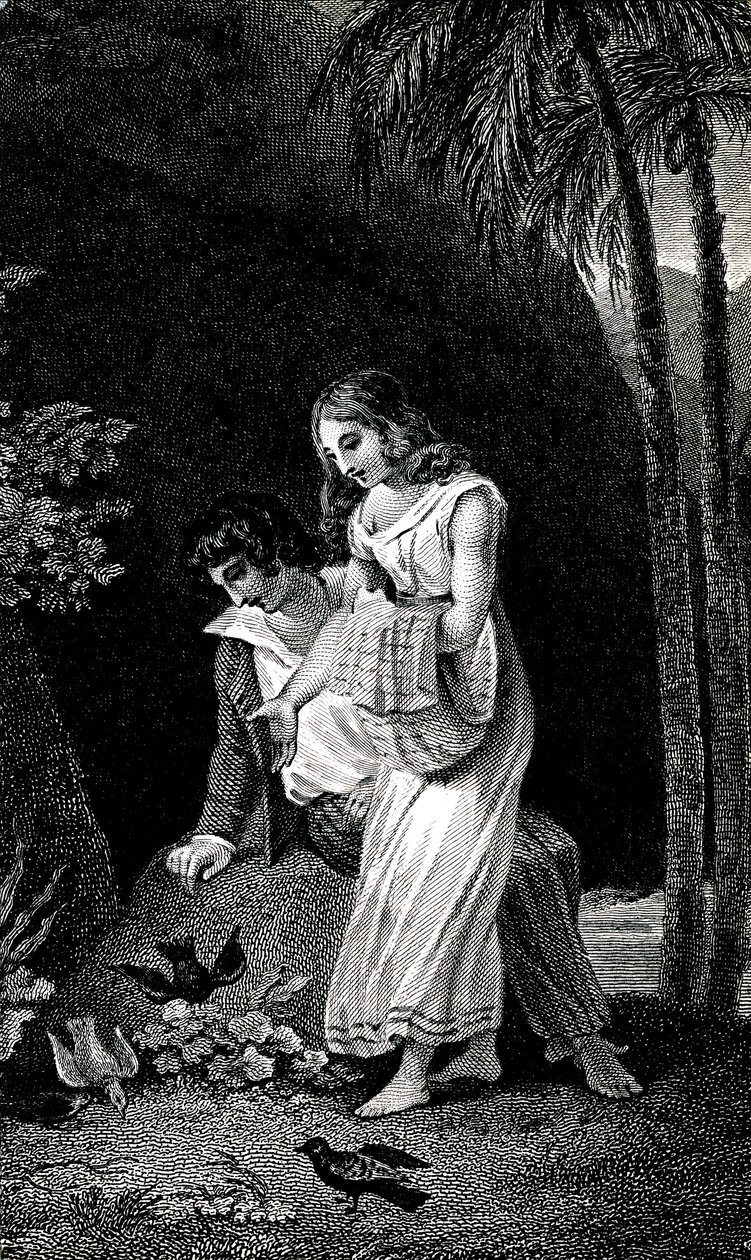 Gravura que ilustra uma edição do romance de Jacques-Henri Bernardin de Saint Pierre (Jacques Henri Bernardin de Saint-Pierre), do final do século XIX: Paul et Virginie. As aves chegam à terra sem medo perto do jovem casal de amantes na floresta. Desenho b de Emile Antoine Bayard