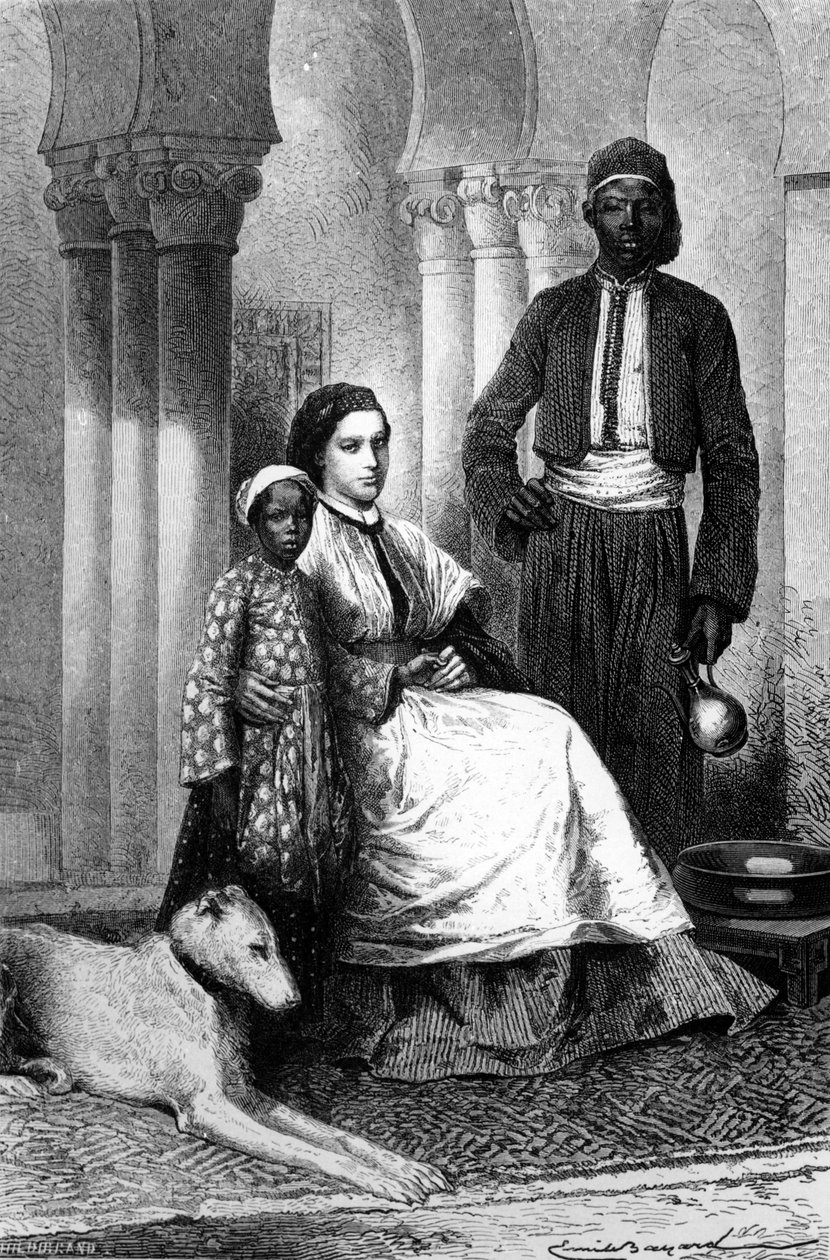 Senhorita Tinne em seu Cairo Home, ilustração de &39;The Tour of the World&39;, 1871 de Emile Antoine Bayard
