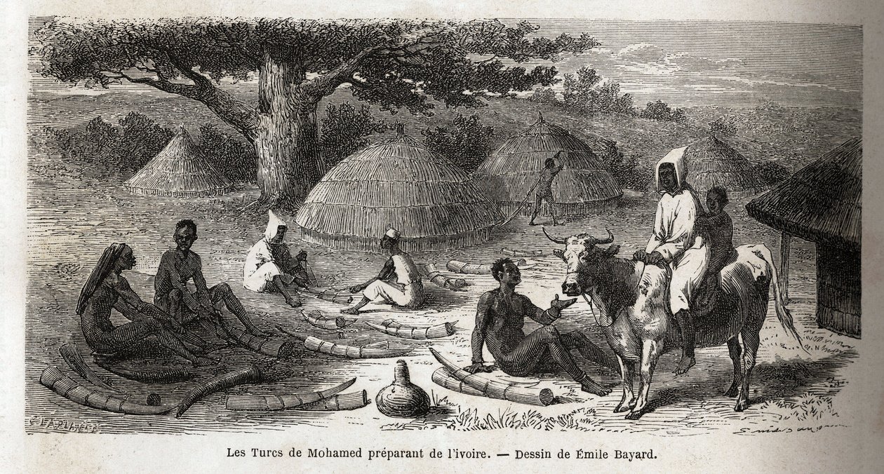 Preparação de marfim, para um comerciante turco, Uganda, desenho de Emile Bayard (1837-1891), ilustrando a viagem de descoberta do Capitão Speke na África de 1860 a 1863. Gravura em "Le tour du monde", editado por Edouard Charton de Emile Antoine Bayard
