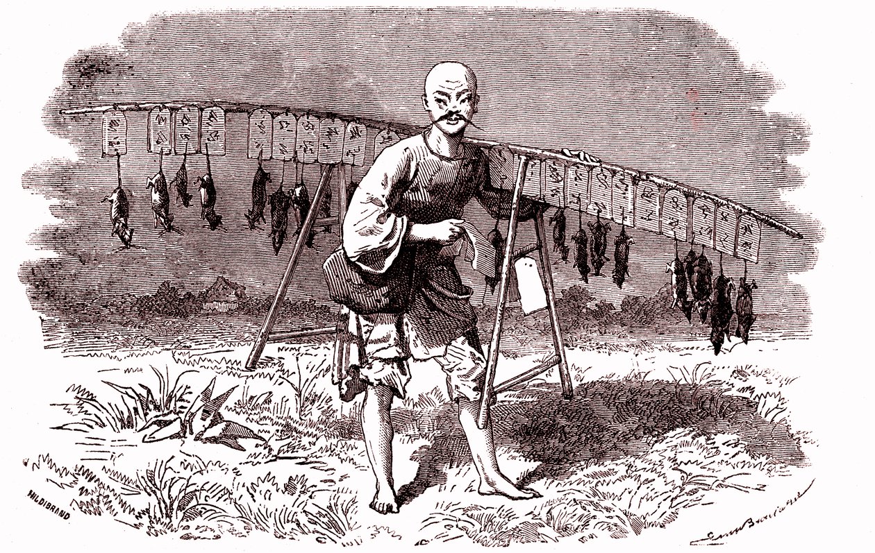 Matador de ratos na China. 1874 (gravura) de Emile Antoine Bayard