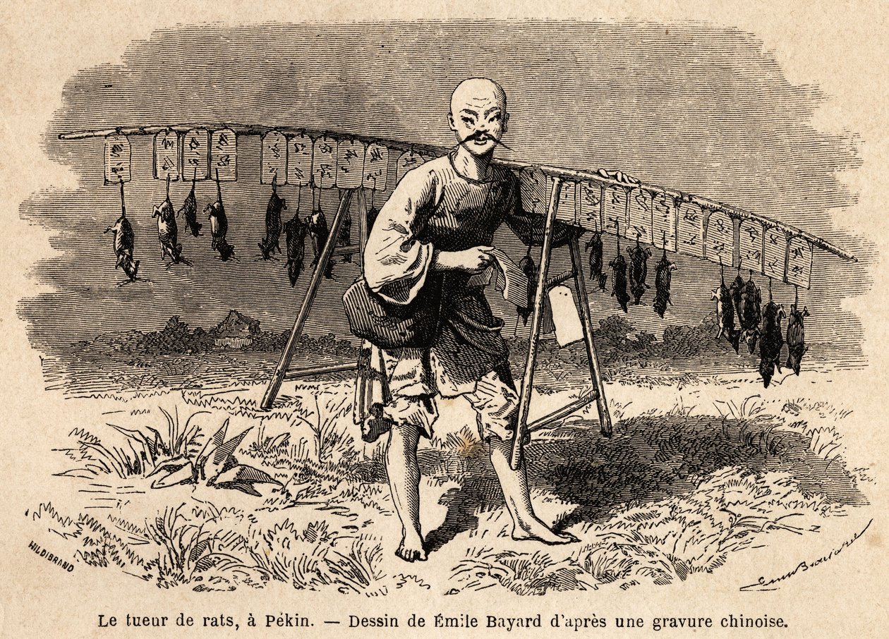 O assassino de ratos em Pekin. Desenho de Emile Bayard (1837-1891), para ilustrar a viagem de Xangai a Moscou, de 1859 a 1862, de M. de Bourboulon, Ministro da França à China. Gravura em "Le tour du monde", editado por Edouard Charton de Emile Antoine Bayard