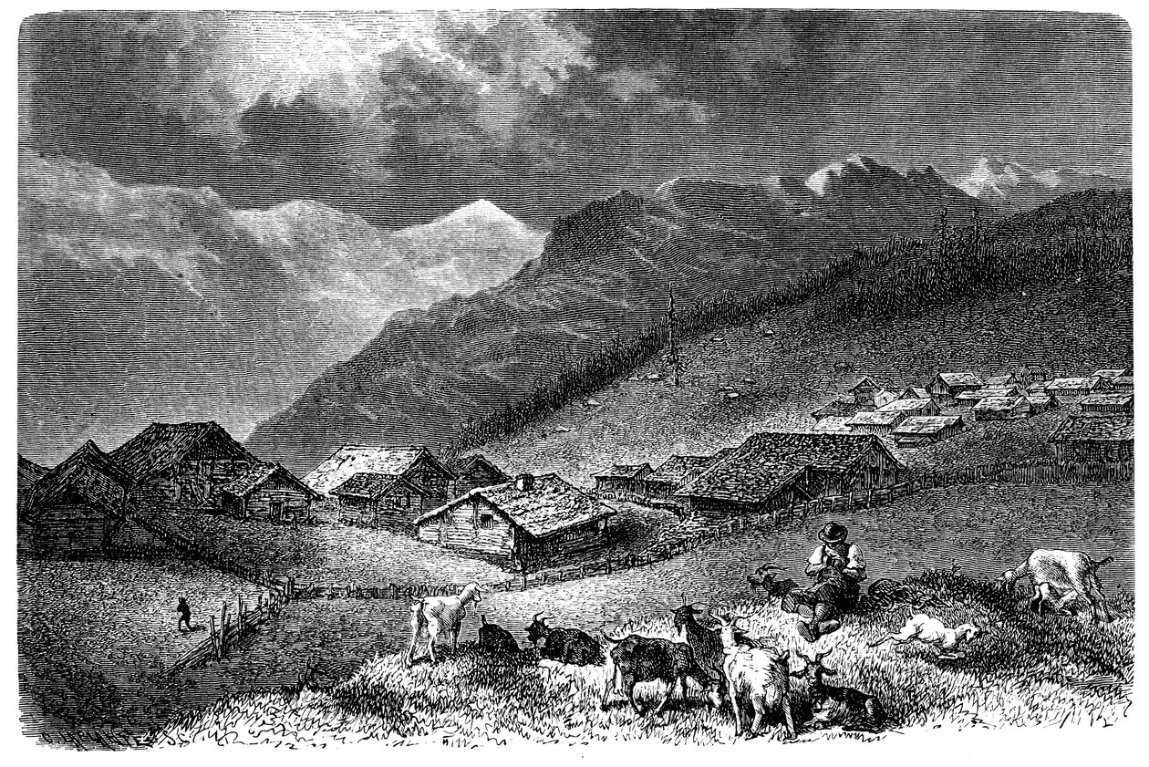Aldeia nos Alpes. Murren, no Oberland Bernês, a 1630 metros de altitude. Pastor que mantém o seu rebanho de cabras e ovelhas (ovelhas). Ilustração de Emile Bayard para o livro "Les Montagnes" de Albert Dupaigne, edição Mame 1881. de Emile Antoine Bayard