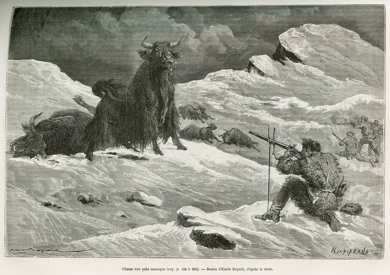 Cena de caça ao iaque selvagem, desenhada por Emile Bayard para ilustrar a viagem à Mongólia e à terra dos Tangoutes de 1870 a 1873, pelo Tenente Coronel Prjewalski. Gravura em Le tour du monde de Emile Antoine Bayard