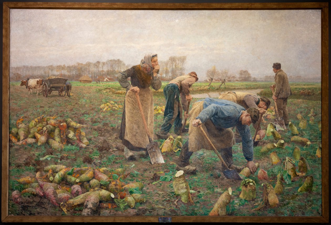 Colheita da beterraba de Emile Claus