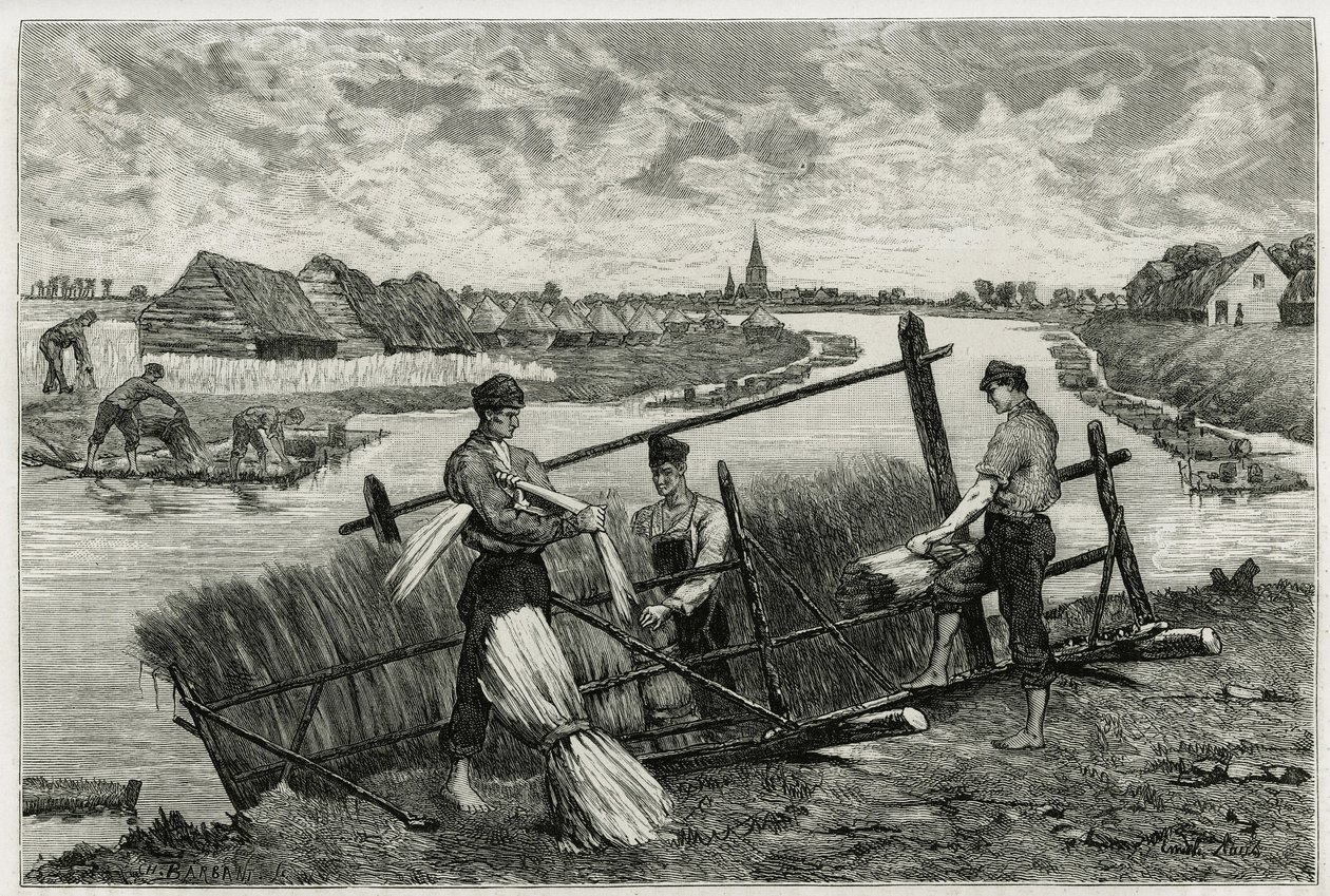 A ferrugem do linho (maceração para facilitar a separação da casca do caule) nos Lys (rio ao norte da França e da Bélgica). Gravação de Emile Claus, para ilustrar a história "La Belgique", de Camille Lemonnier (1844-1913), escritor e crítico de arte. de Emile Claus