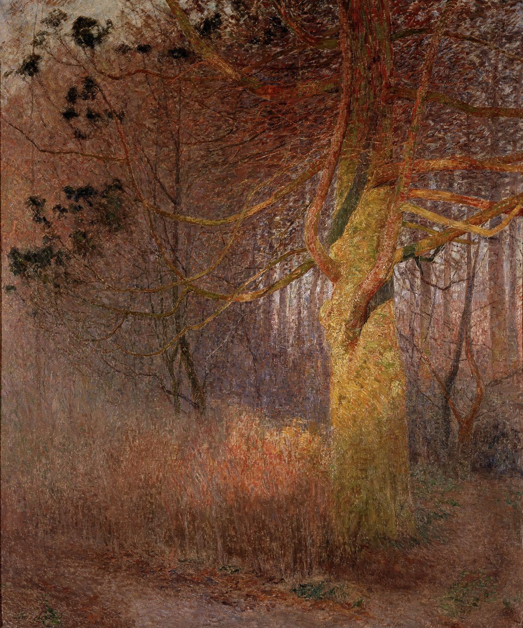 Árvore soalheira de Emile Claus
