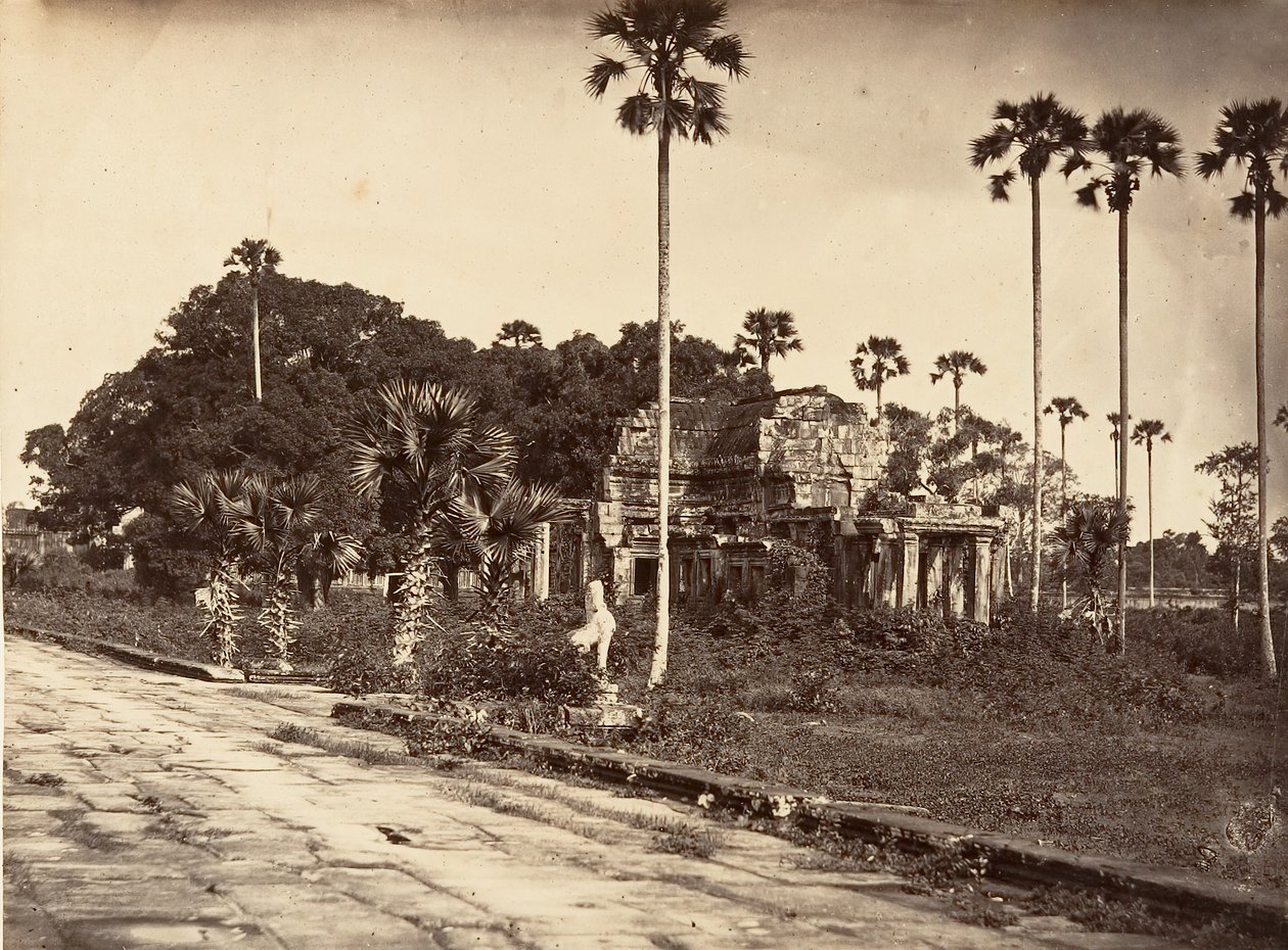 Floresta. de Emile Gsell