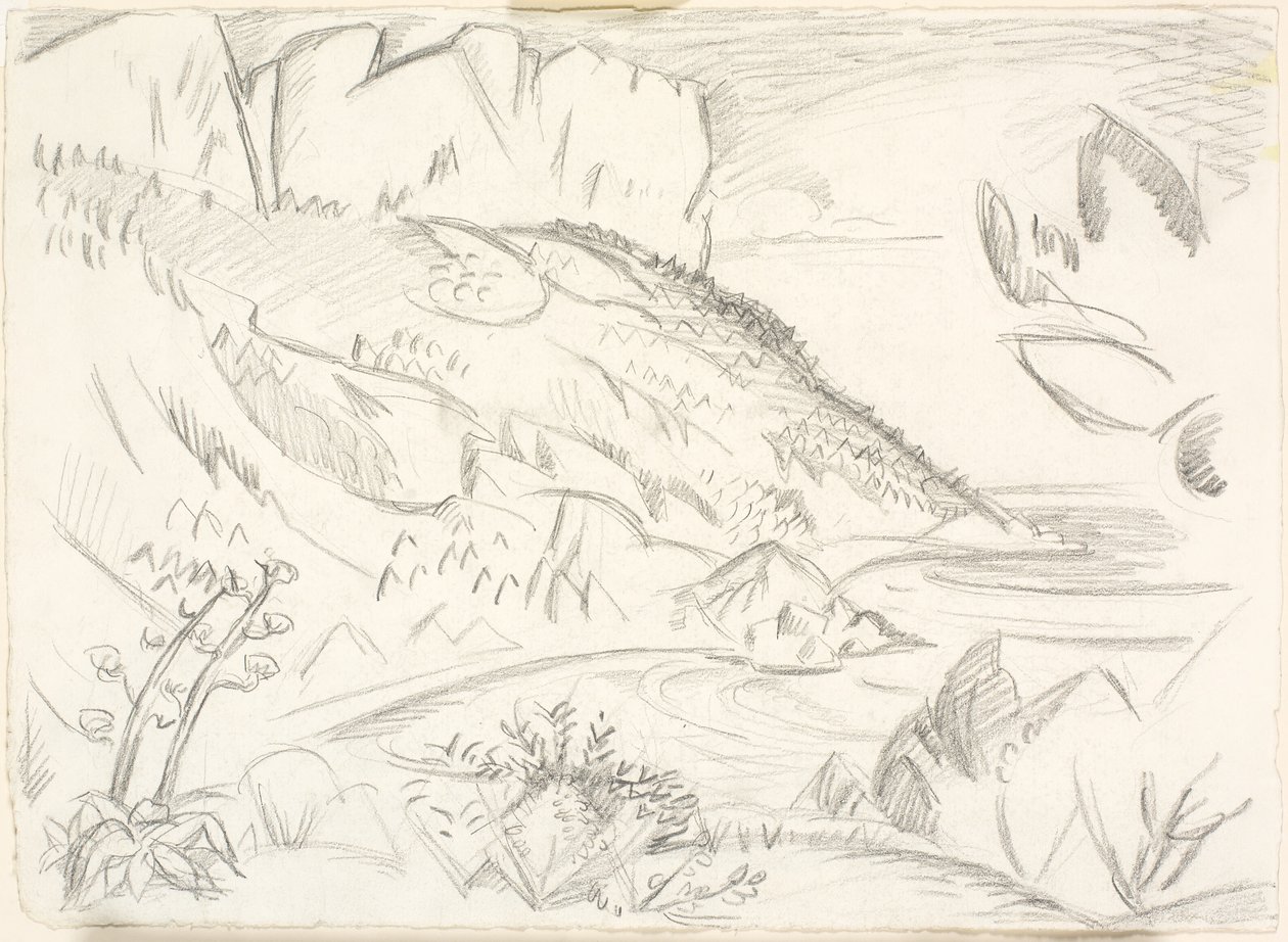 Cap Canaille ved Cassis. de Emile Othon Friesz