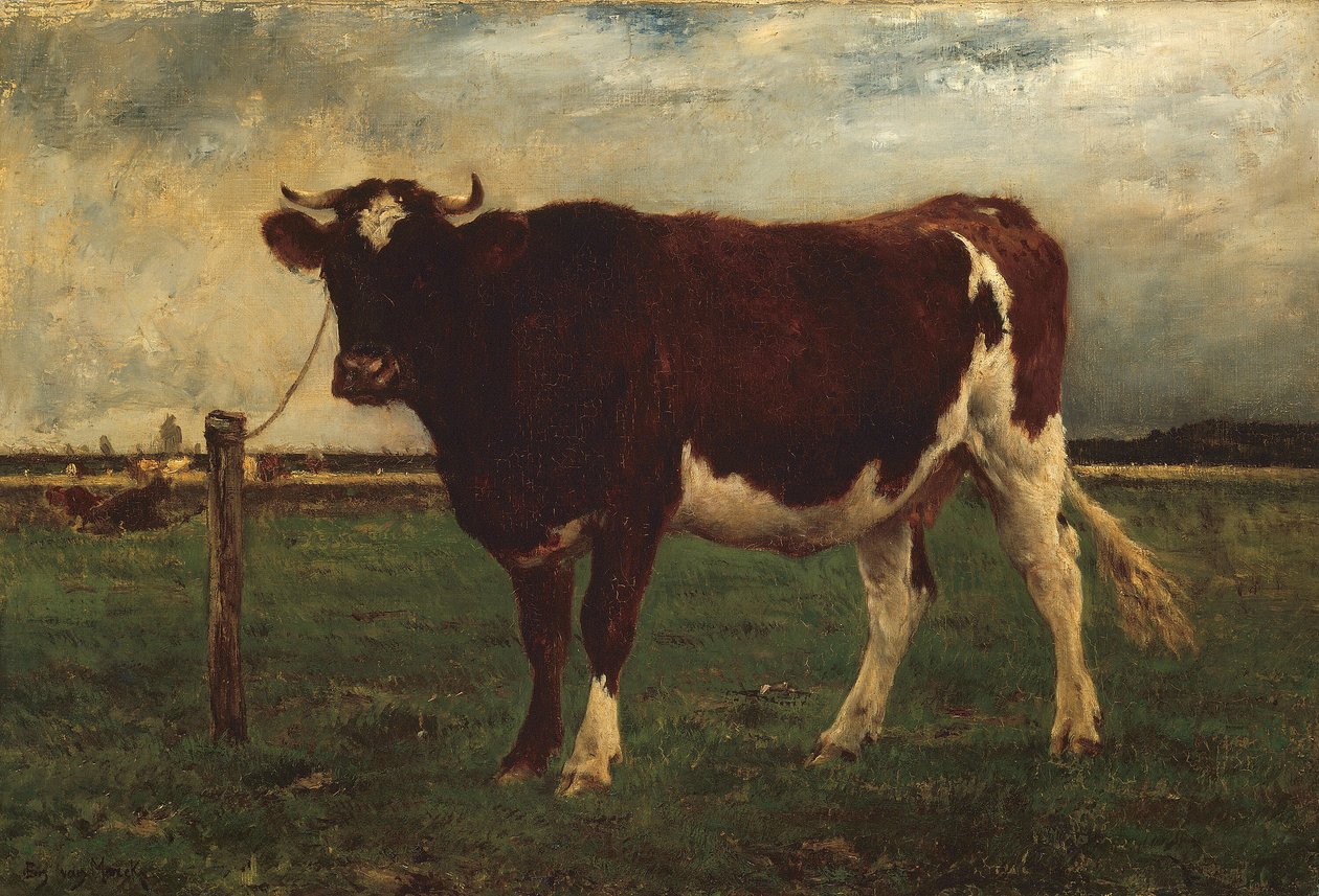 Estudo de uma vaca de Emile van Marcke de Lummen