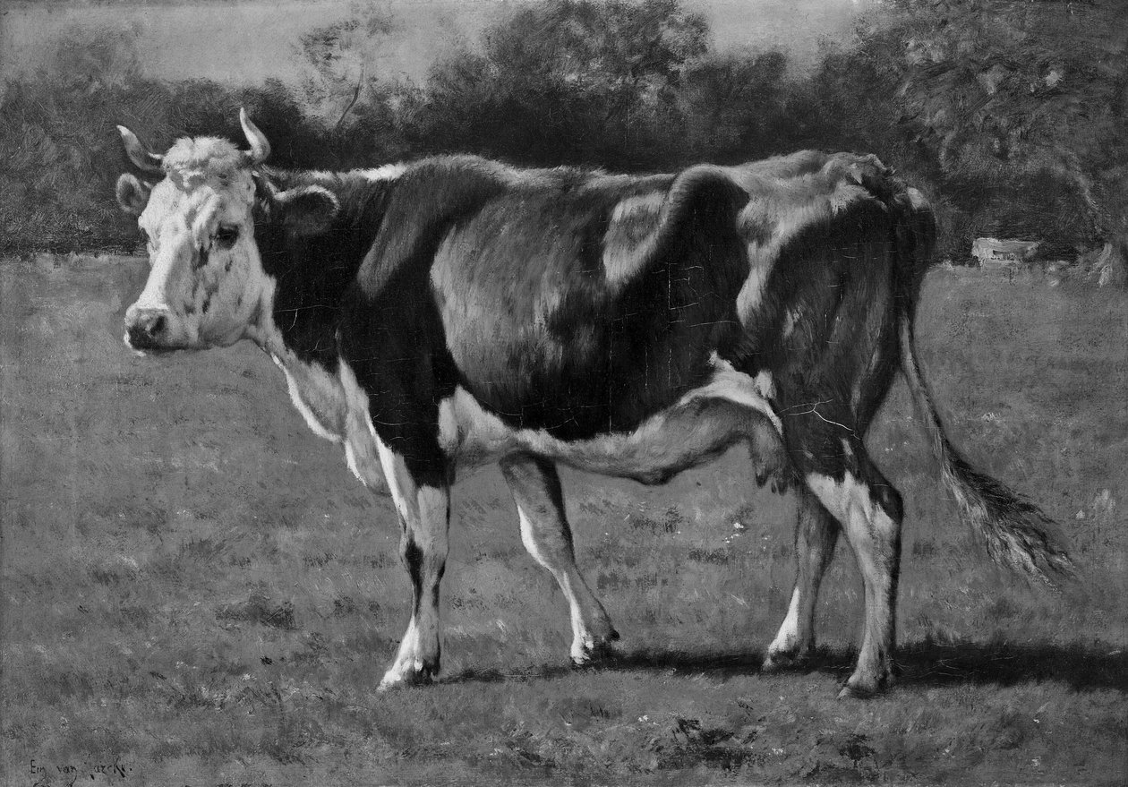Estudo de uma vaca de Emile van Marcke de Lummen