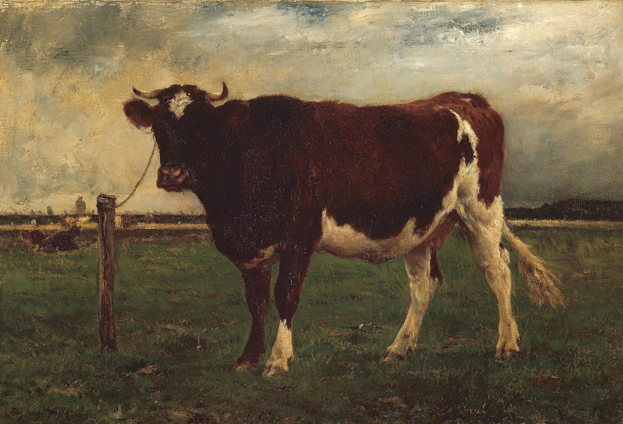Estudo de uma vaca, 1870-90 de Emile van Marcke de Lummen
