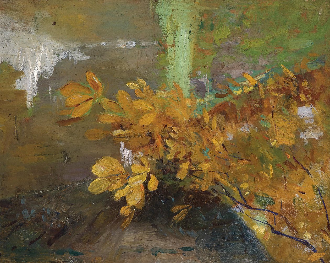 P1476, de de Emilie Mediz Pelikan