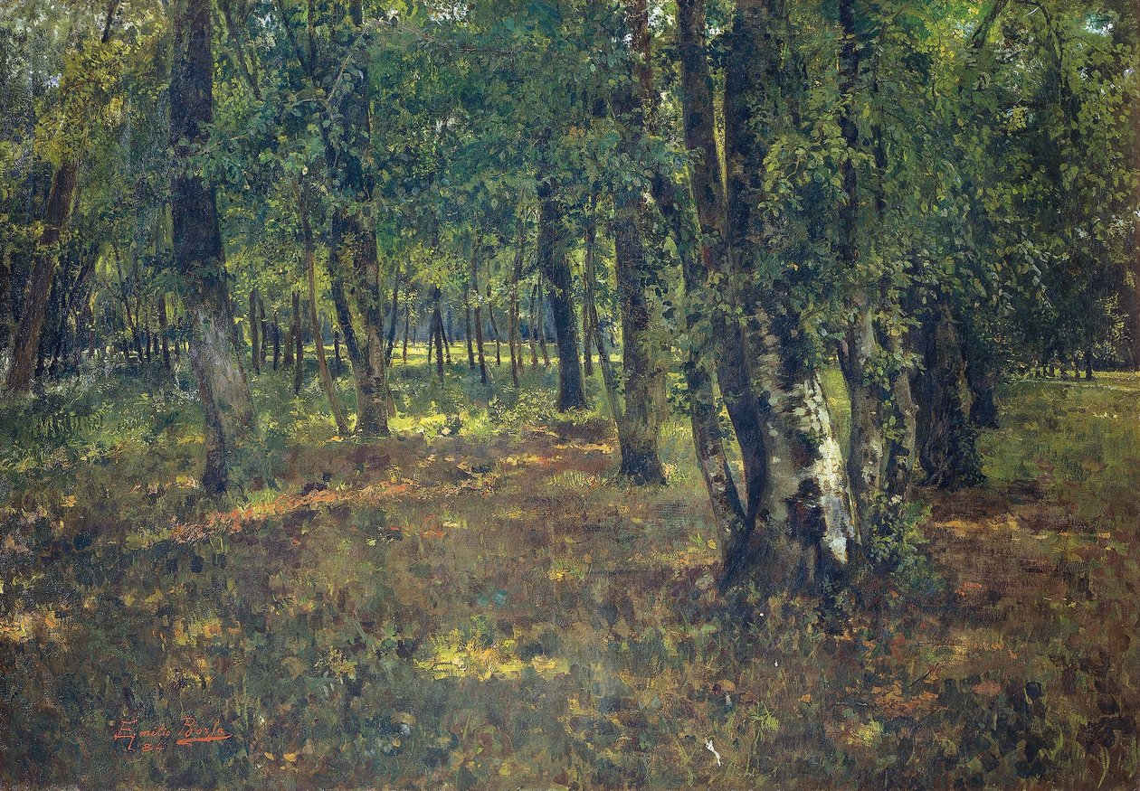 Madeira, por Emilio Borsa (1857-1931) de Emilio Borsa