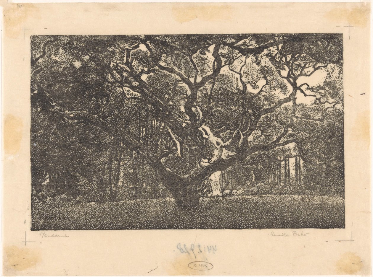 Bos em Bergen de Emilius Wilhelmus Dehé (signed by artist)