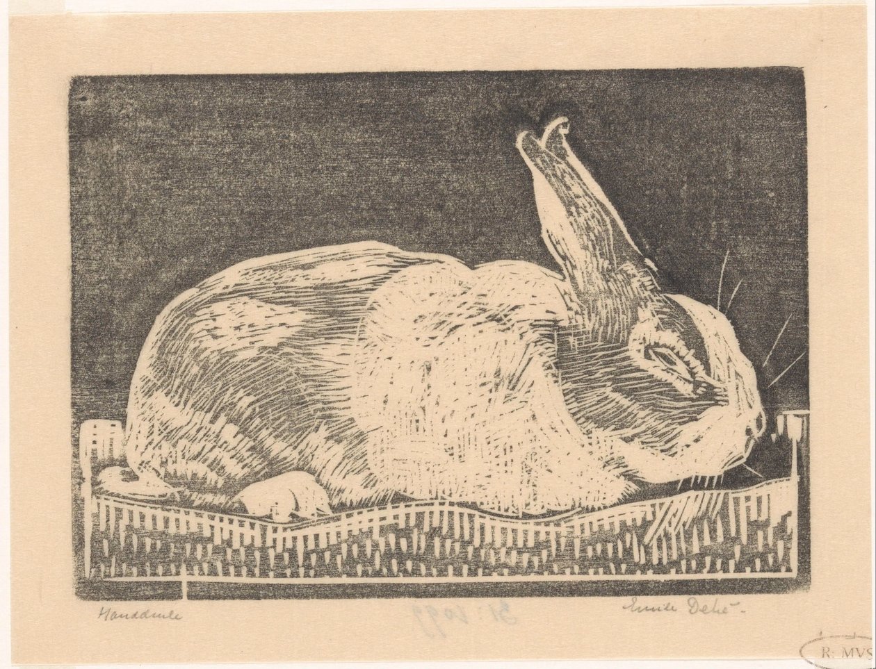 Coelho de Emilius Wilhelmus Dehé (signed by artist)