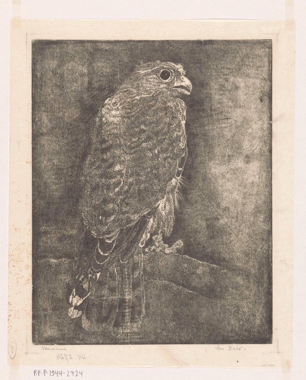 Falcão num ramo de Emilius Wilhelmus Dehé (signed by artist)