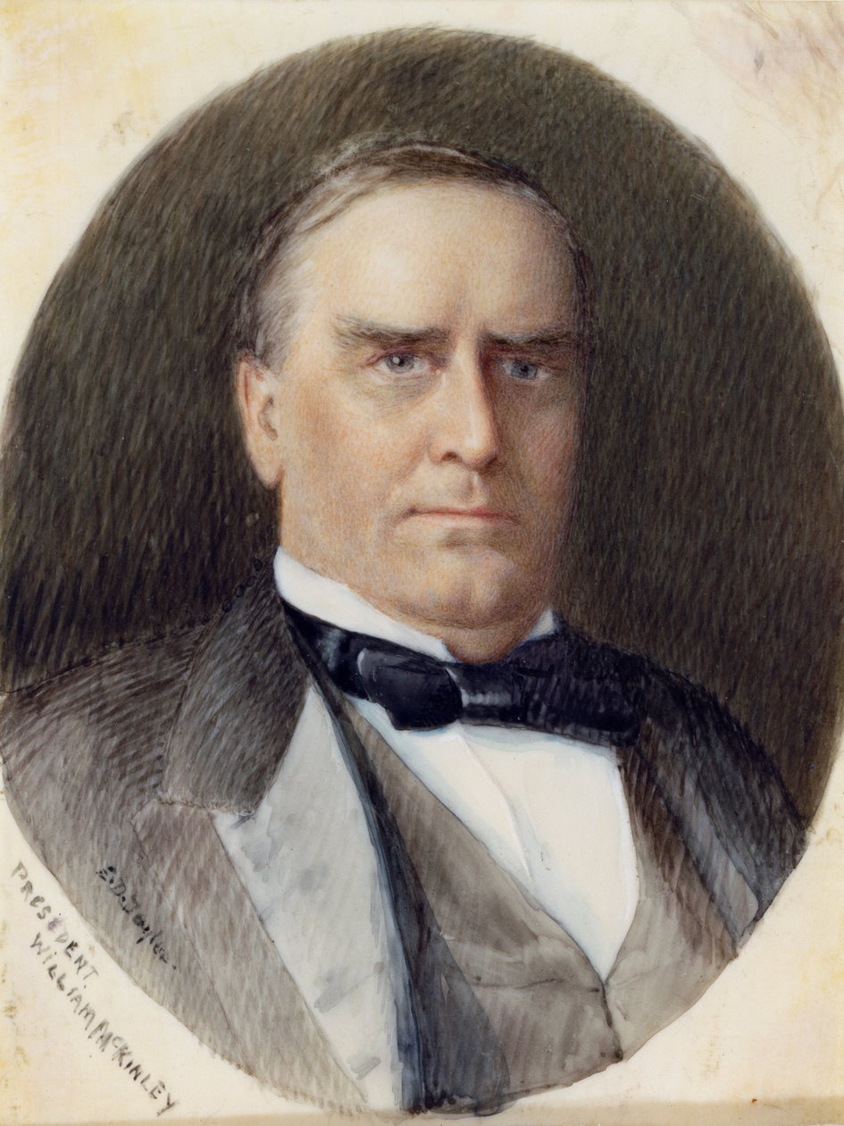 William McKinley de Emily Drayton Taylor