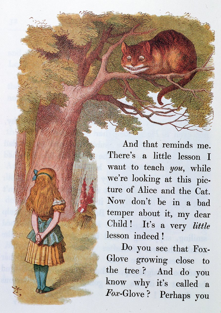 Alice e o gato de Cheshire, ilustração de &39;Alice no país das maravilhas&39;, publicado em Londres, 1889 de Emily Gertrude Thomson