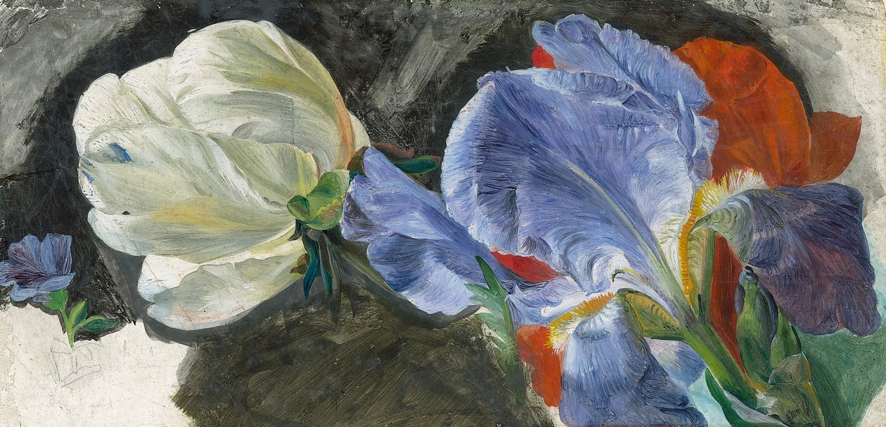 Um estudo de flores (óleo sobre papel) de Emily Stannard