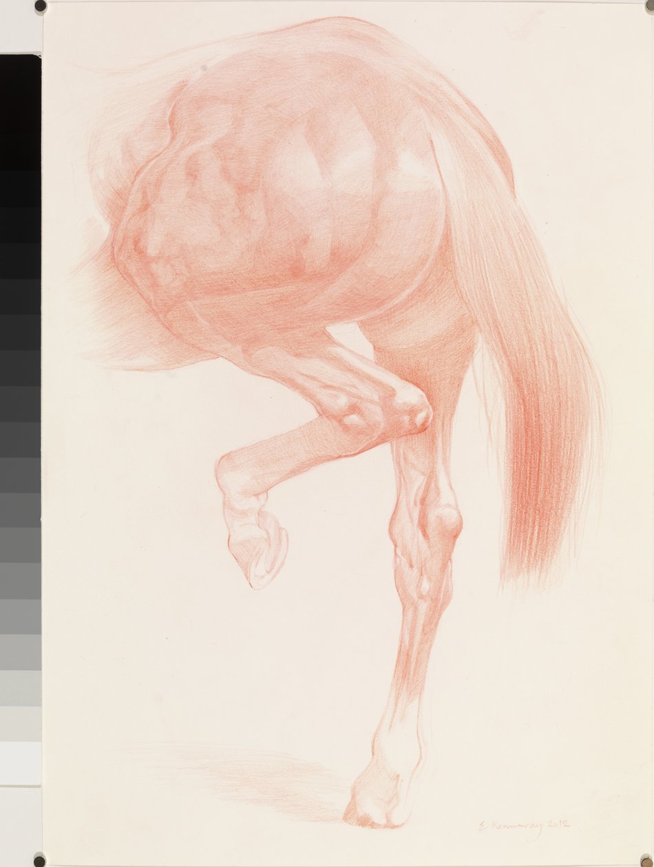 Começando, Série 4, 2012 (giz vermelho sobre papel) de Emma Kennaway