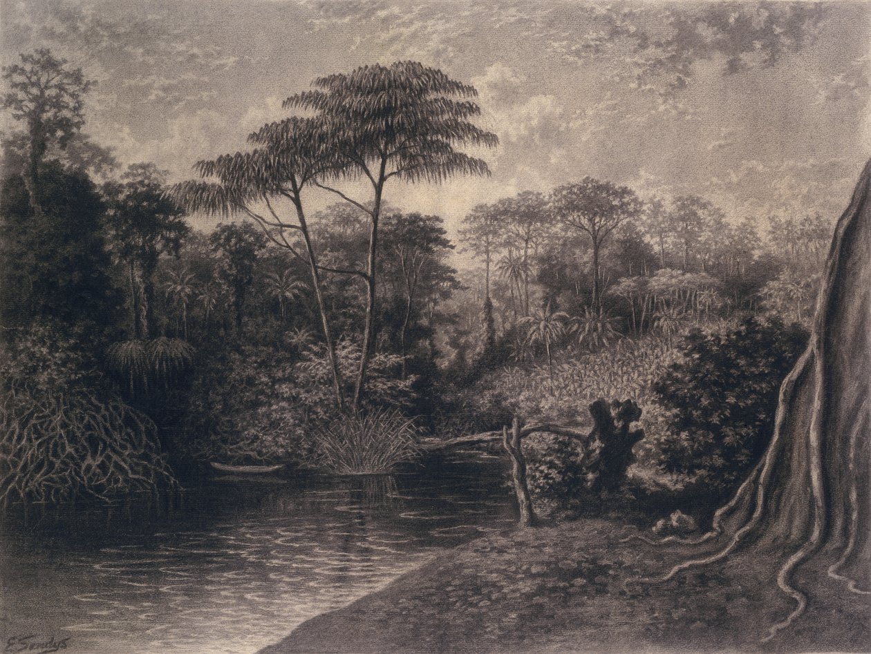 Vista do rio Camarões, baía de Ambes, África, 1877 (carvão sobre papel) de Emma Sandys