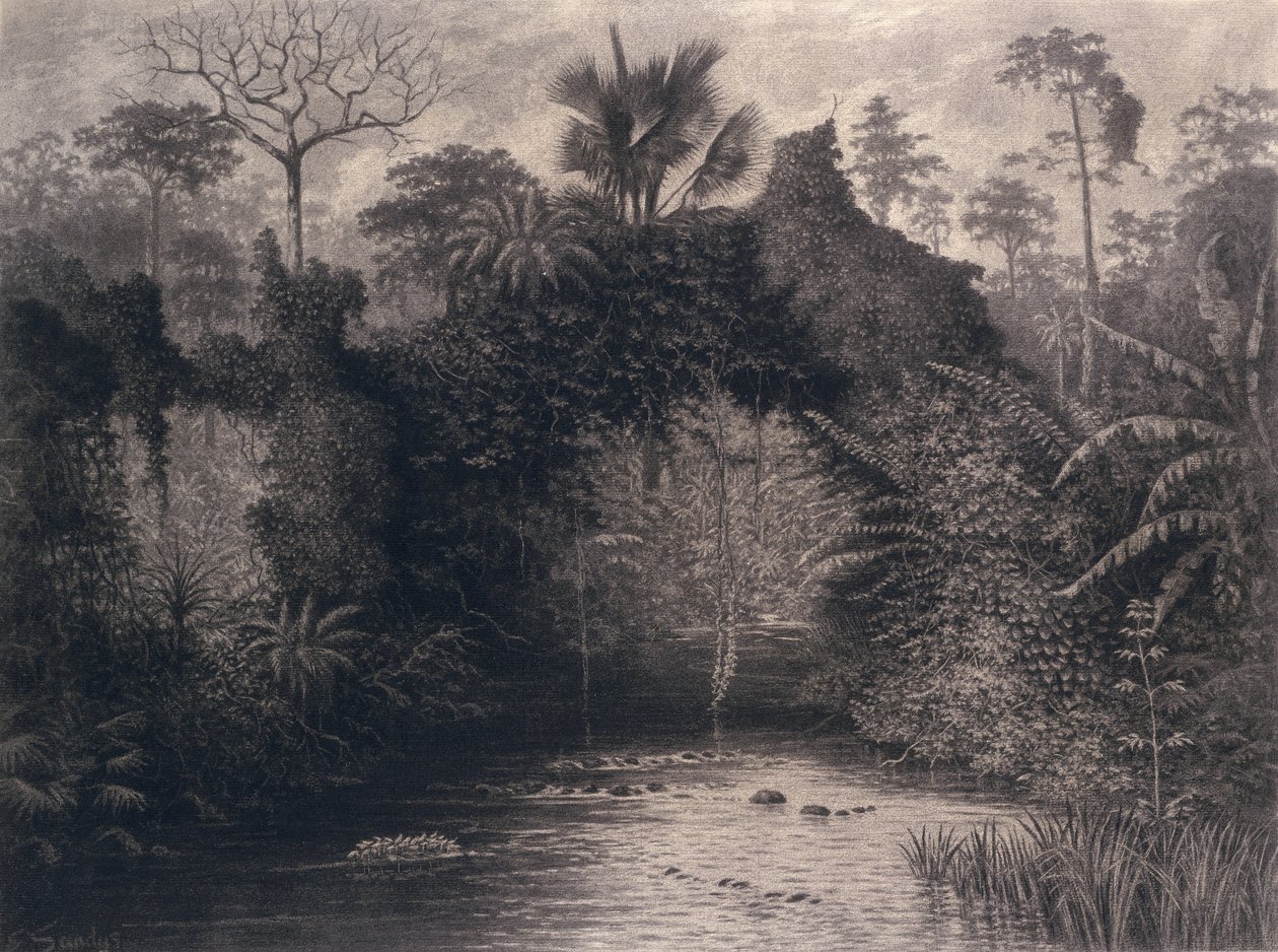 Vista do Golfo de Biafra, África Ocidental, 1877 (carvão sobre papel) de Emma Sandys
