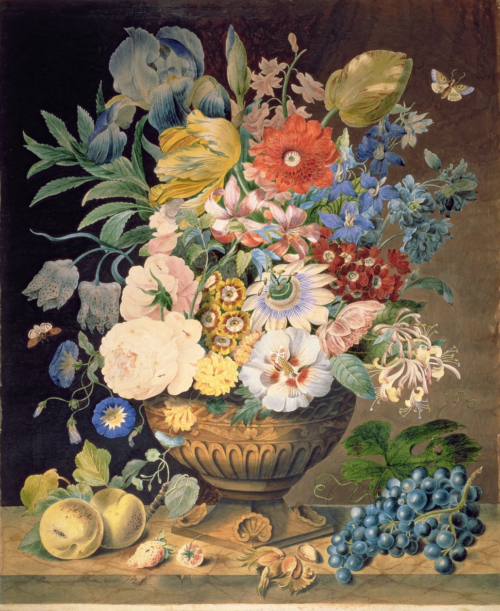 Flores e Fruta, 1828 (wc no papel) de Emma Sillett