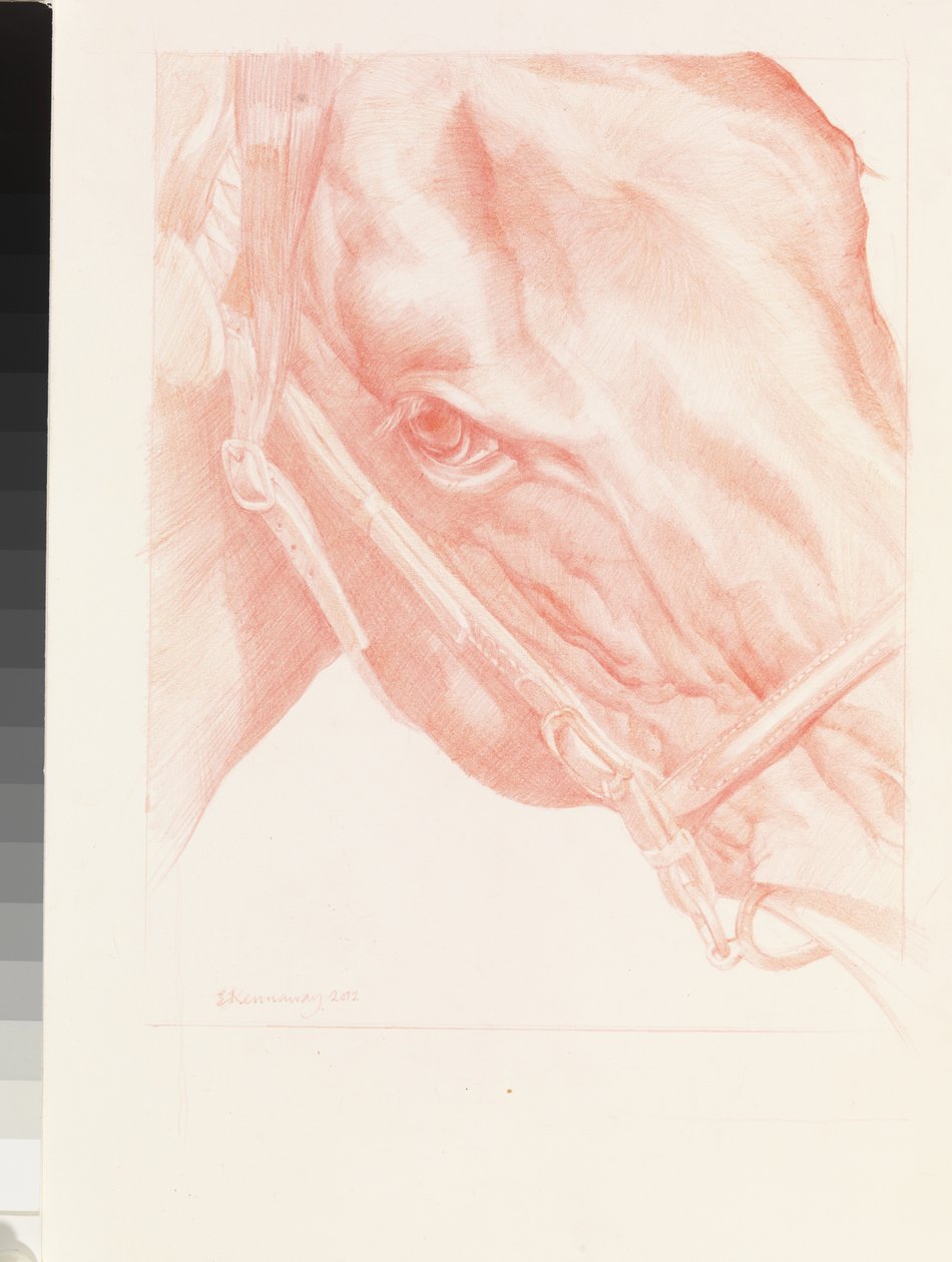 Portrait Head, 2012 (giz vermelho sobre papel) de Emma Kennaway