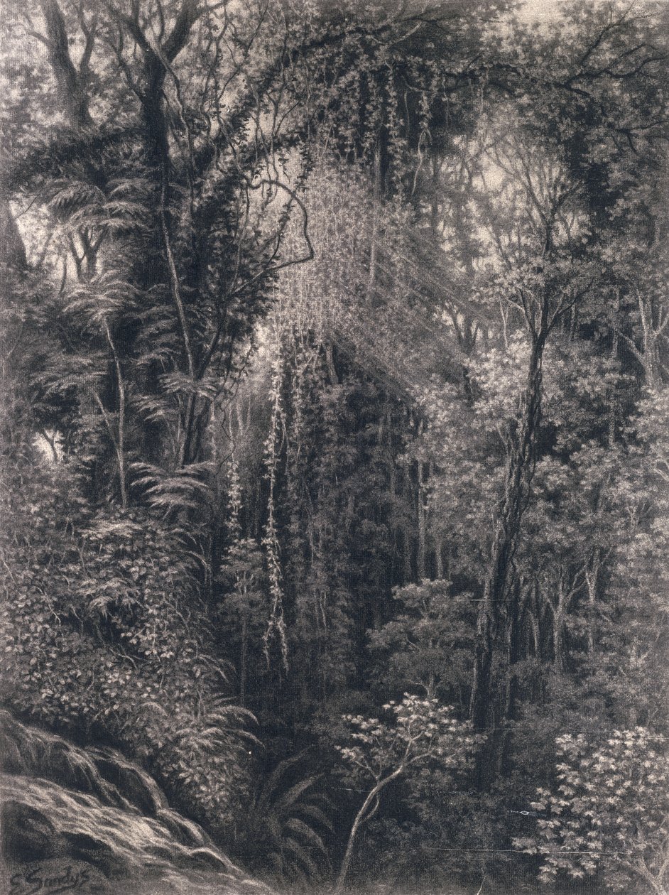 Vista do desfiladeiro acima de Apia, Upolu, Samoa Ocidental, 1877 (carvão sobre papel) de Emma Sandys