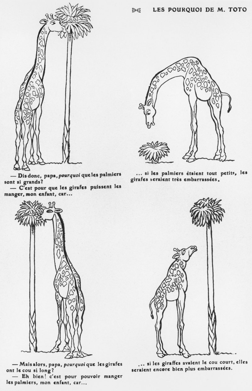 &39;O Porquê do Sr. Toto&39;, Caricatura da Teoria da Evolução de Darwin, c.1900 de Emmanuel Poire Caran D
