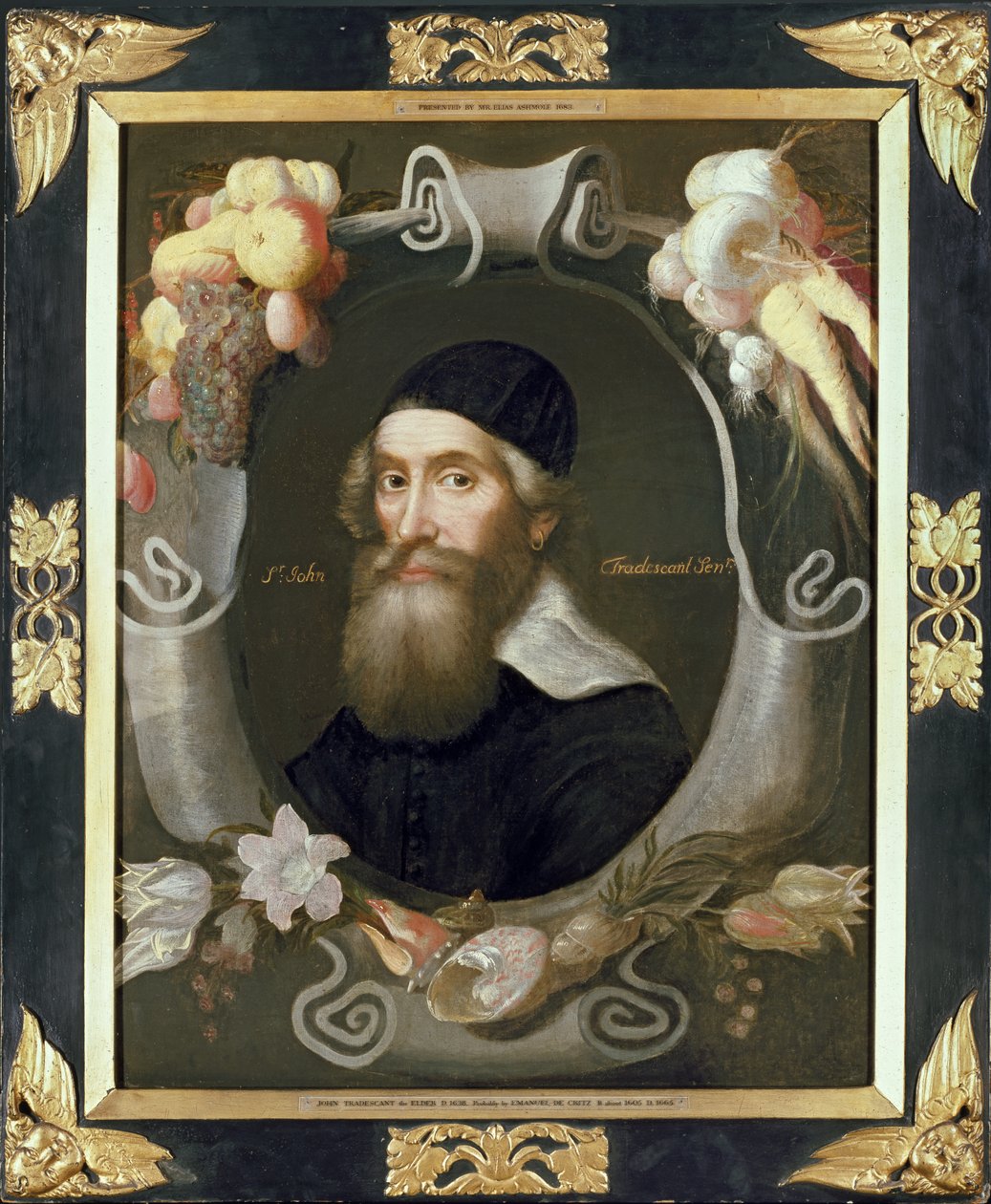 John Tradescant o mais velho, século XVII de Emmanuel de Critz