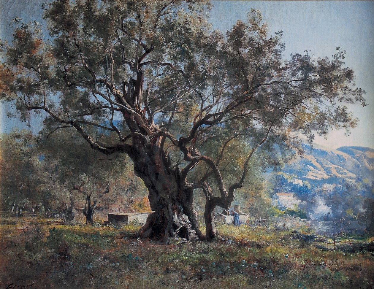 Oliveiras em Vallonnet à beira da estrada de Emmanuel Lansyer