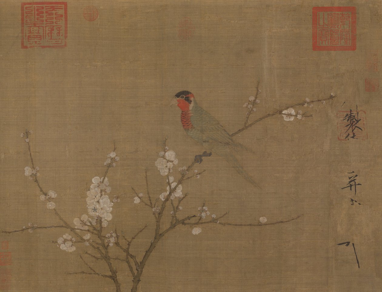 Periquito de cinco cores em uma árvore de abricó florescimento de Emperor Huizong