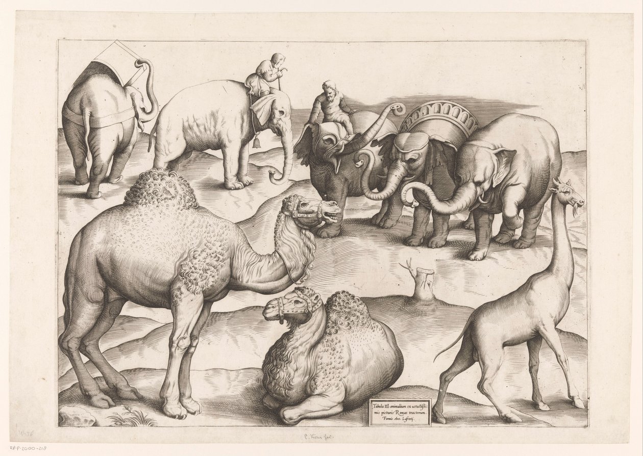 Oito animais
Animais após murais antigos (título da série)
Speculum Romanae Magnificentiae (título da série) de Enea Vico (attributed to)
