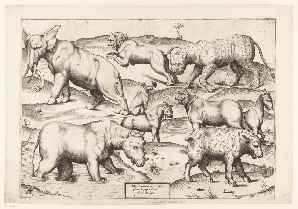 Nove animais Animais a pinturas murais antigas (título da série) Speculum Romanae Magnificentiae (título da série) de Enea Vico (attributed to)