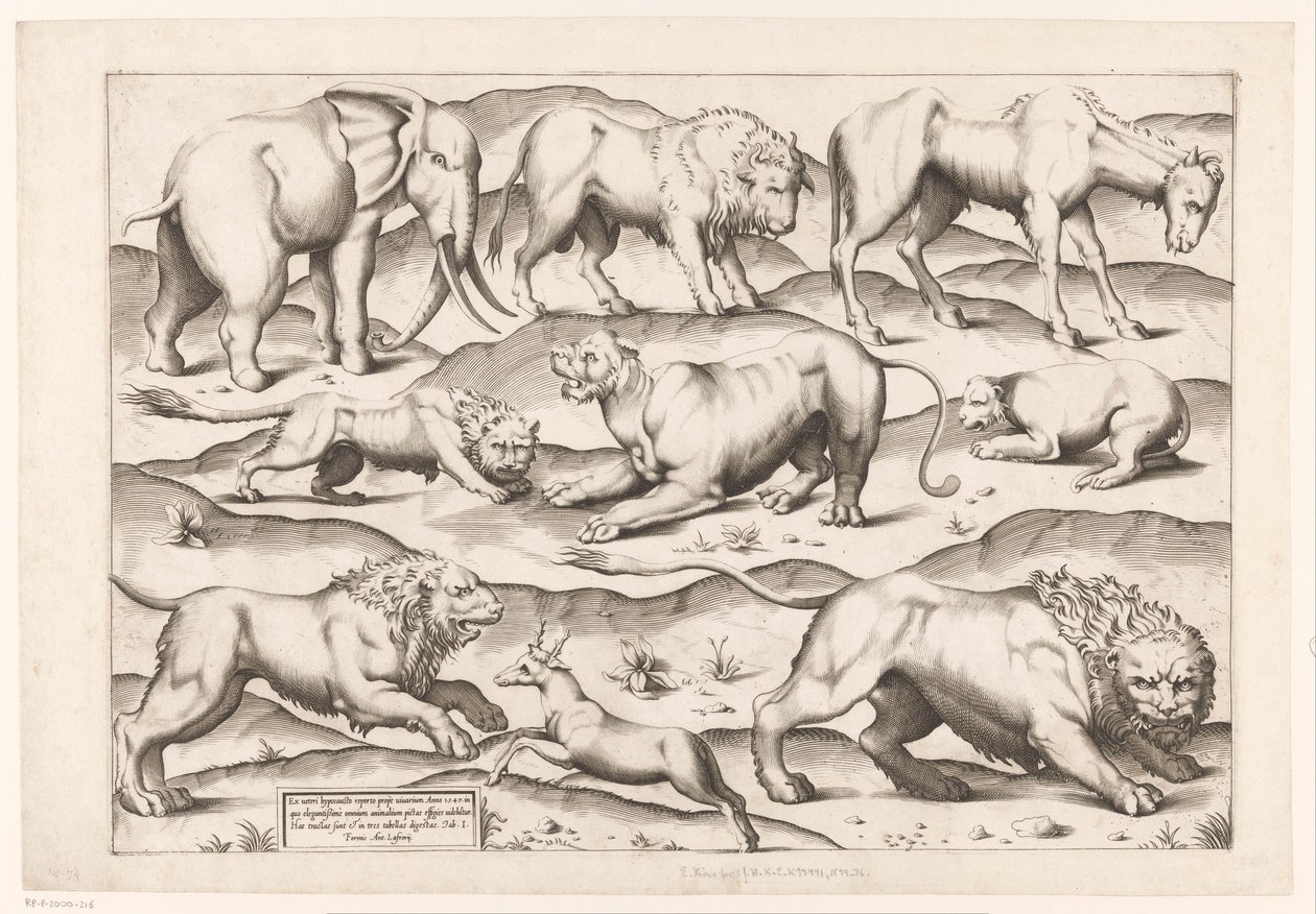 Nove animais selvagens Animais a pinturas murais antigas (título da série) Speculum Romanae Magnificentiae (título da série) de Enea Vico (attributed to)