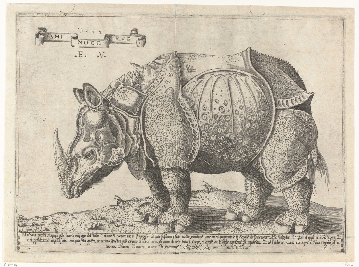 Neushoorn Rhinocerus (título no objeto) de Enea Vico