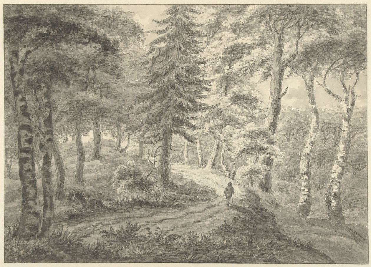 vista da floresta de Engelbert Michaël Engelberts