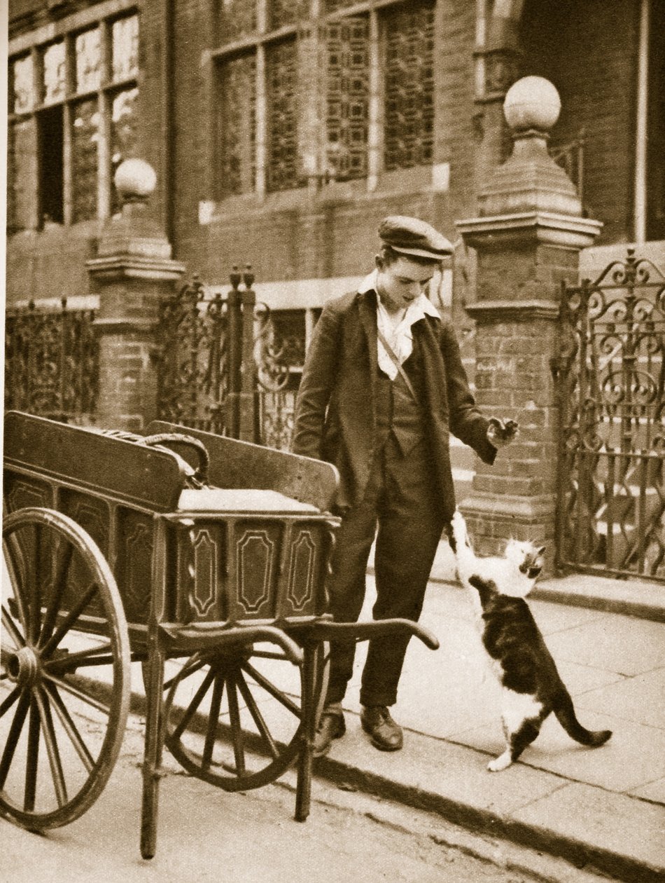 Um homem de carne de gato segurando a carne para fora para um gato (foto sépia) de English Photographer