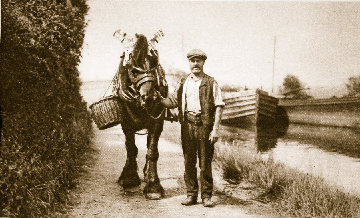 Um cavalo pronto para puxar uma barcaça de canal, Londres (foto sépia) de English Photographer
