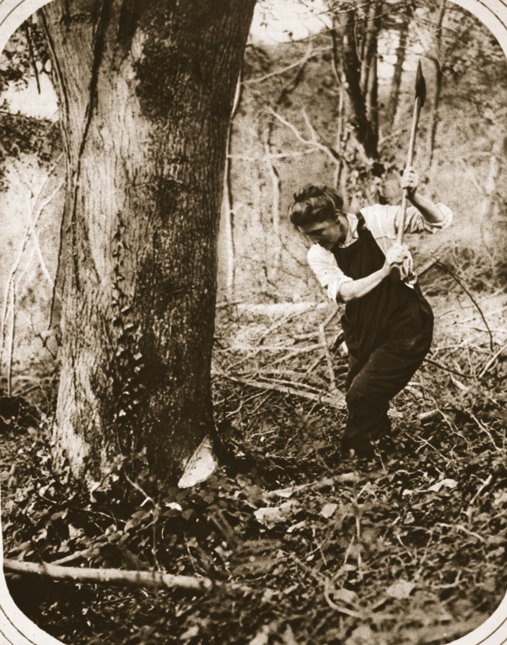 Uma extenuante trabalhadora de mulheres em Weston-Super-Mare; derrubando árvores em uma madeira de Somerset, ilustração do The Illustrated War News, setembro de 1916 (foto sépia) de English Photographer