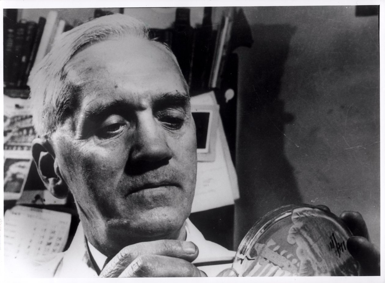 Alexandre Fleming (1881-1955) c.1945 de English Photographer